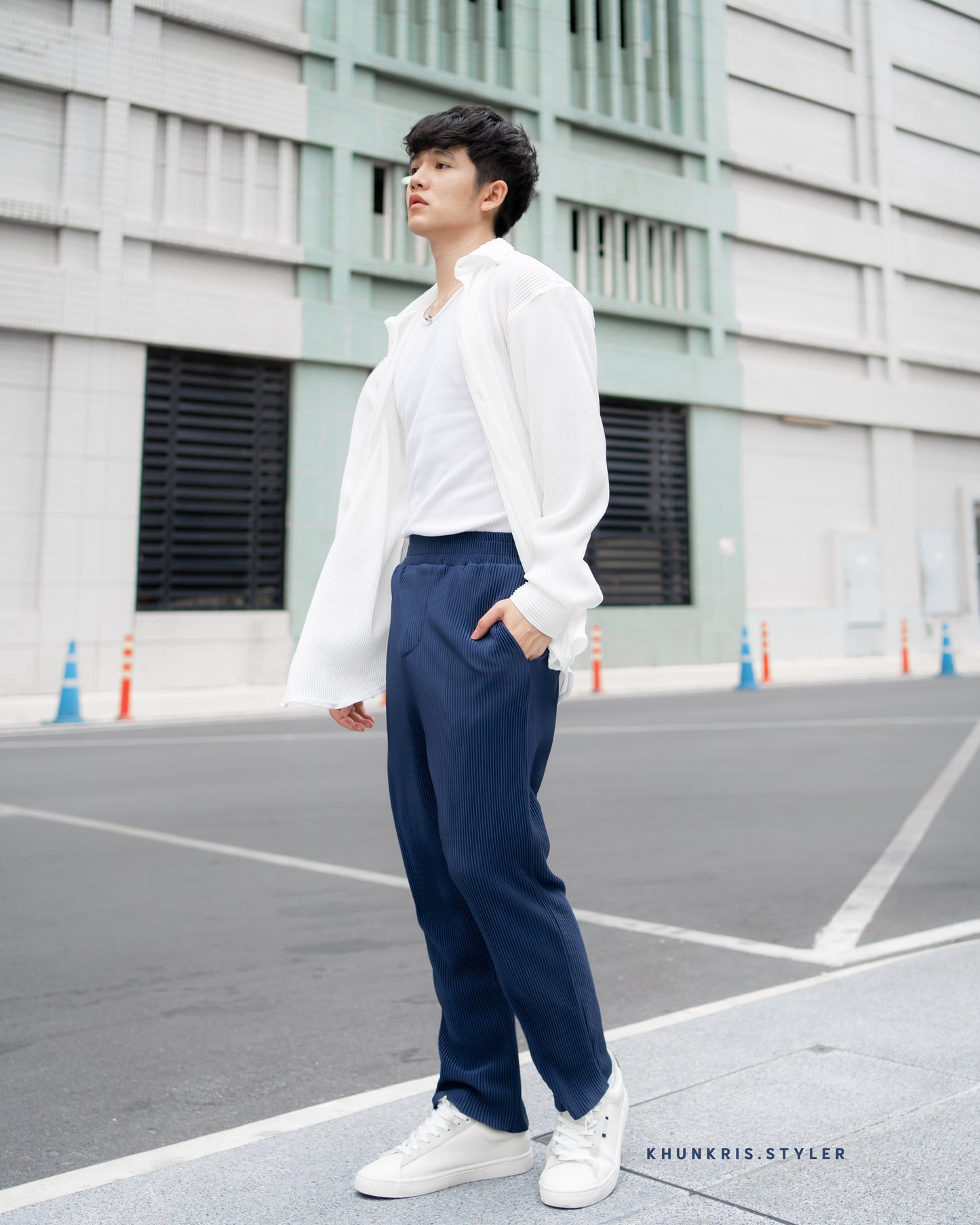 Pleated Pants - Navy Blue